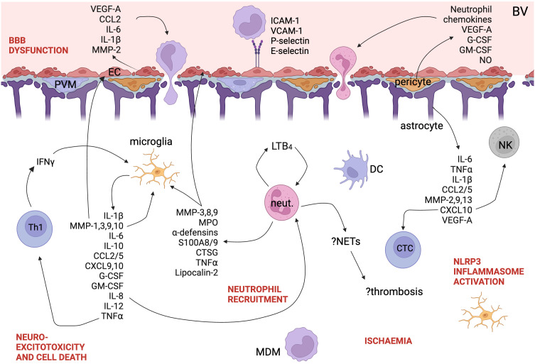 Figure 3