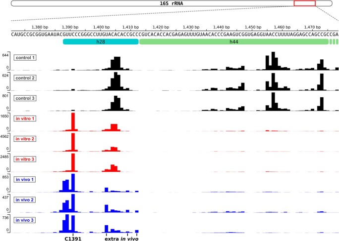 Extended Data Fig. 5