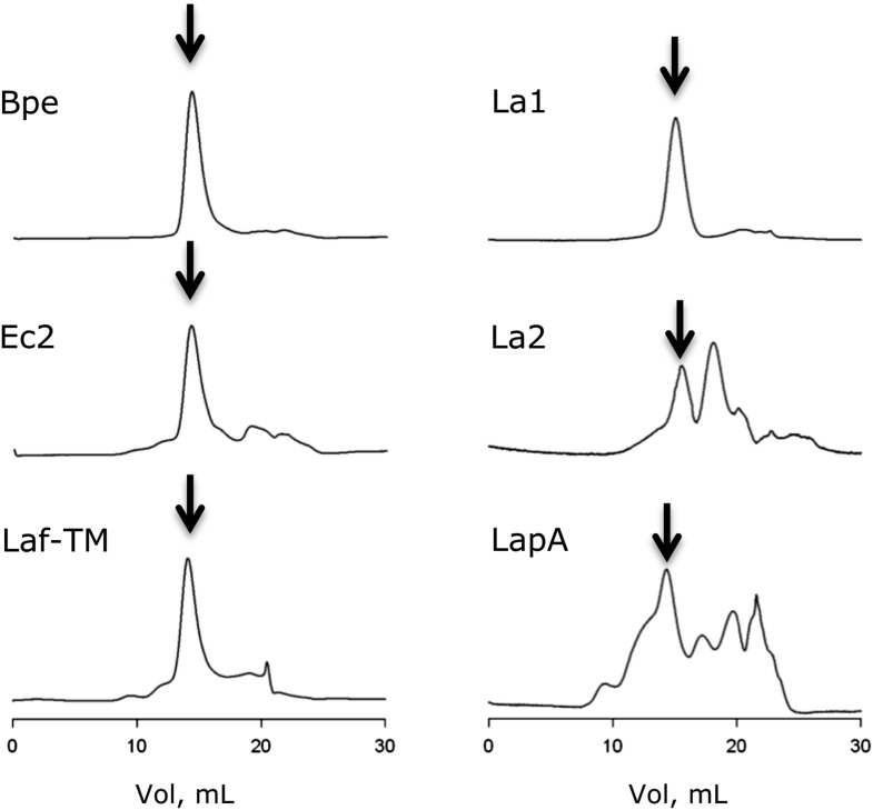 Figure 1—figure supplement 2.