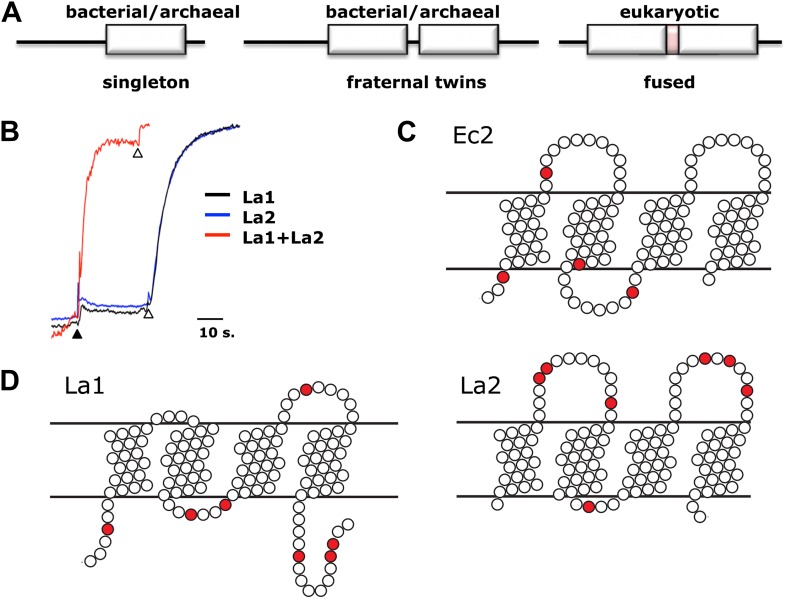 Figure 5.