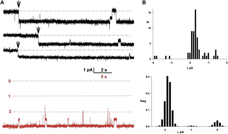 Figure 3.