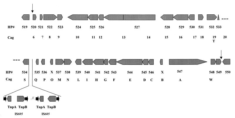 FIG. 11