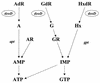 FIG. 6