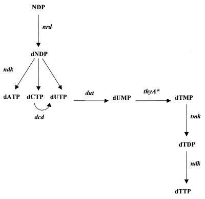 FIG. 7