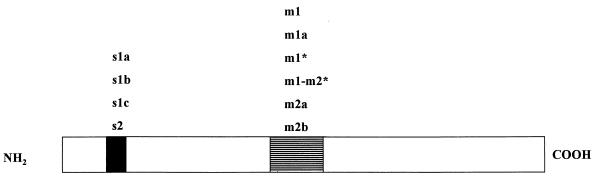 FIG. 9