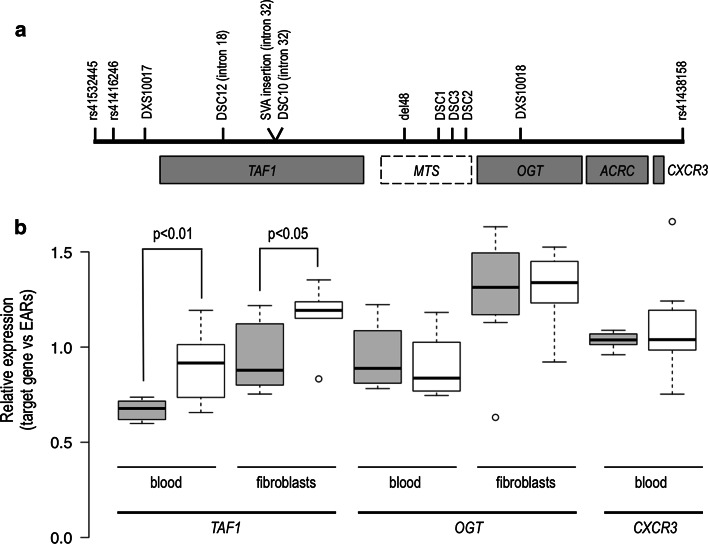 Fig. 1