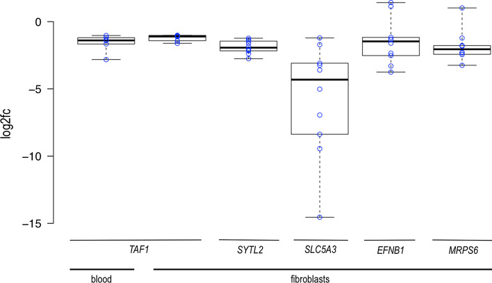 Fig. 4