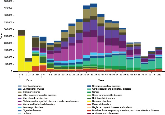 This figure illustrates the DALYs for age groups 0-6 days, 7–27 days, 28–364 days, 1–4 years, and 5-year age groups through age 80 or older. Road traffic injuries were mostly concentrated in the age groups from 15 through 54 years. Mental disorders were concentrated mostly in the age groups from 15 through 44 years.