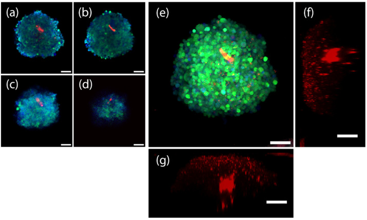 Figure 10