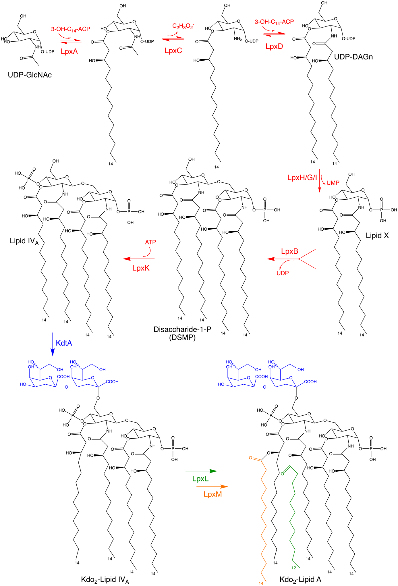 Fig. 2.