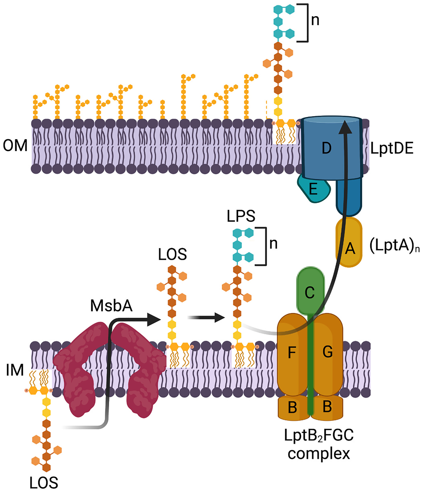 Fig. 4.