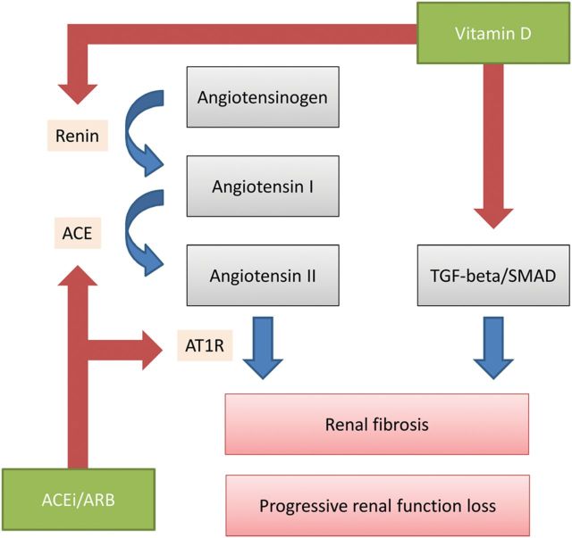 FIGURE 1: