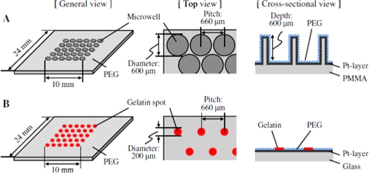 FIG. 3.