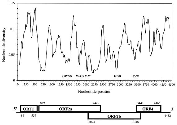 FIG. 1.