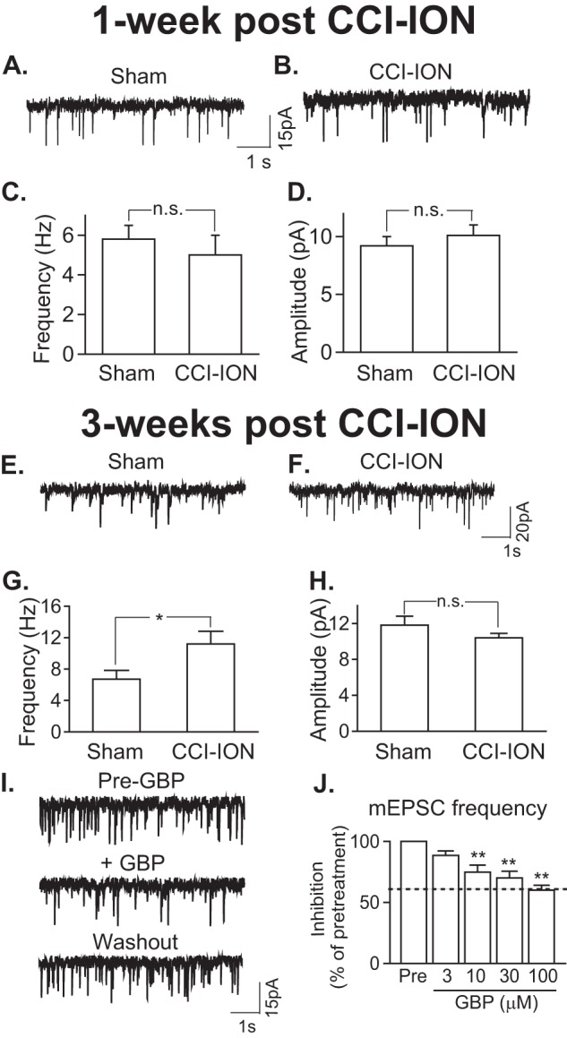 FIGURE 10.