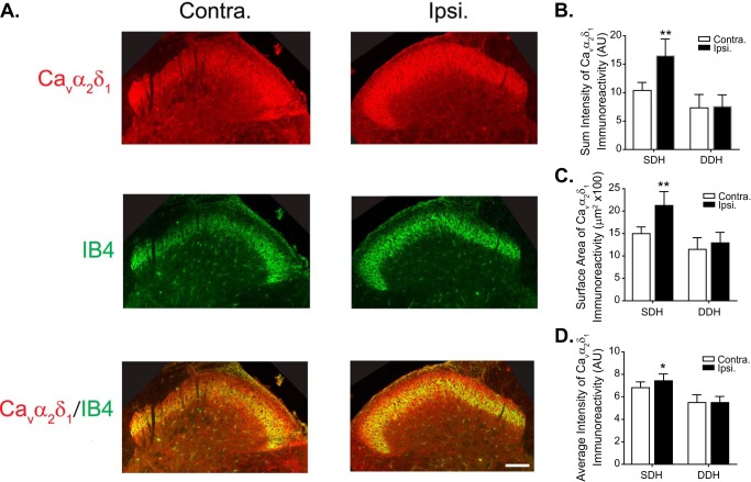 FIGURE 4.