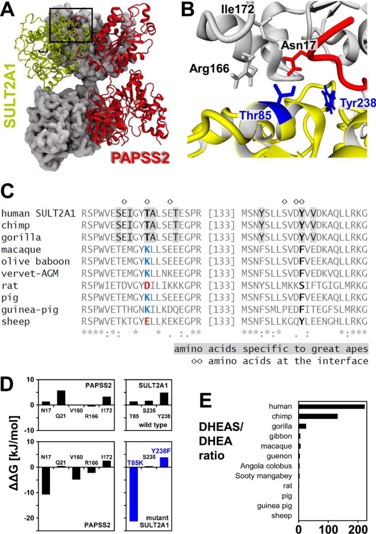 Figure 7.