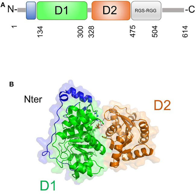 Figure 7