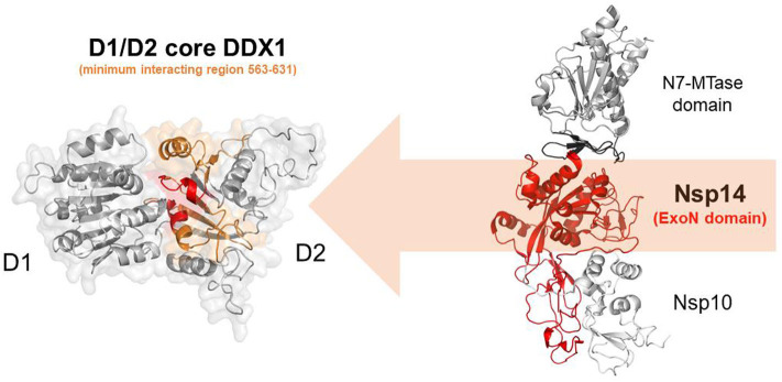 Figure 10