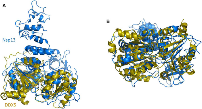 Figure 11