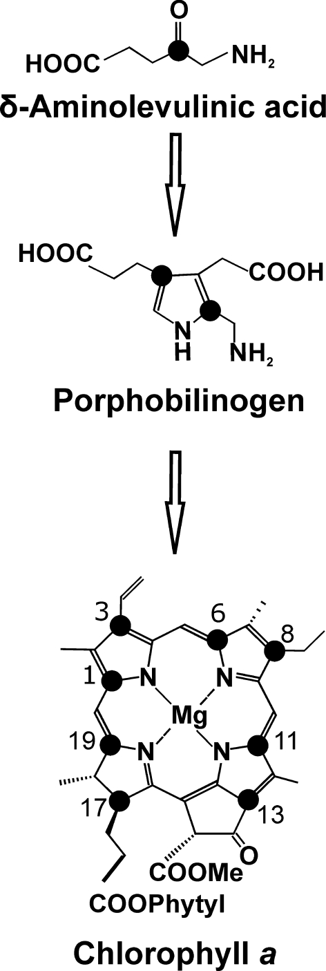 Fig. 2