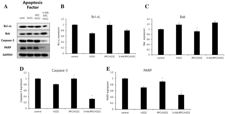 Fig. 6