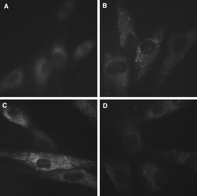 Fig. 7