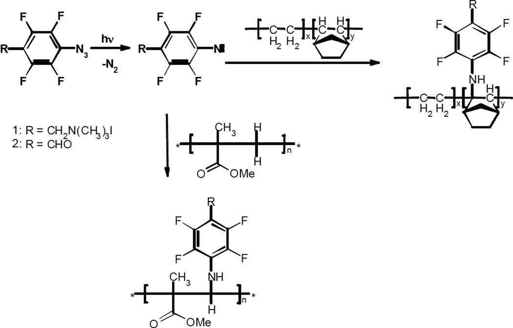 Scheme 1