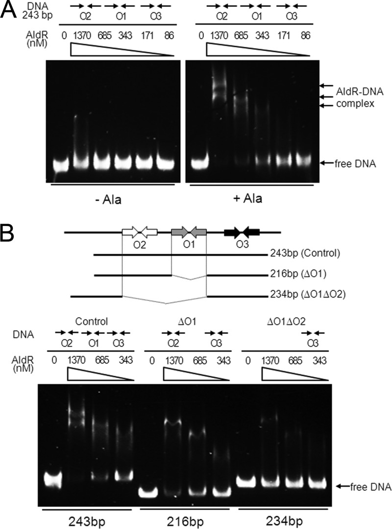 Fig 7