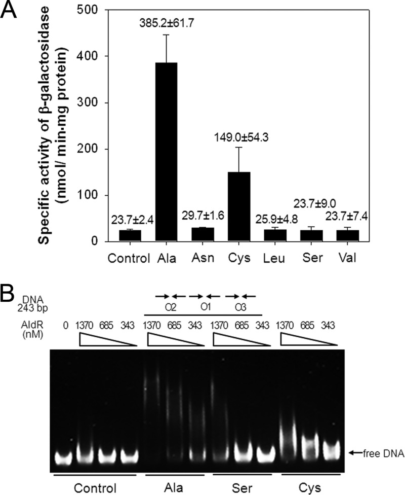 Fig 8