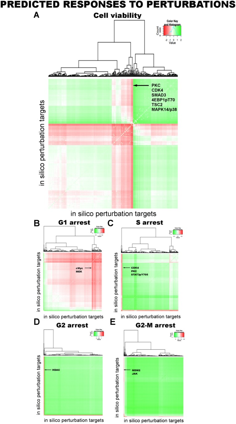 Figure 5—figure supplement 1.