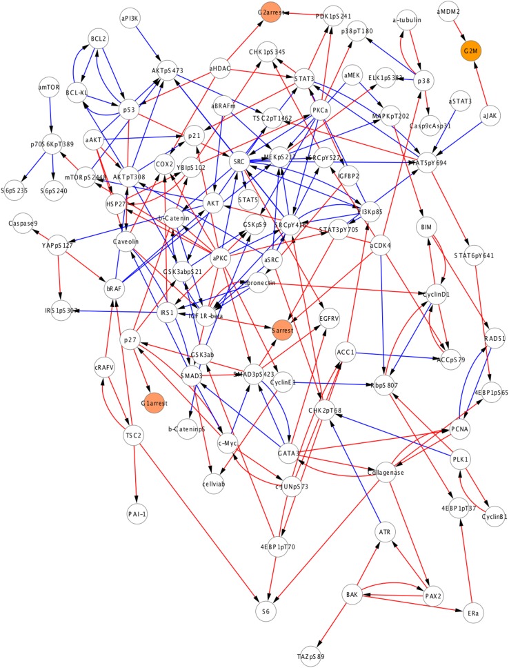 Figure 4—figure supplement 4.