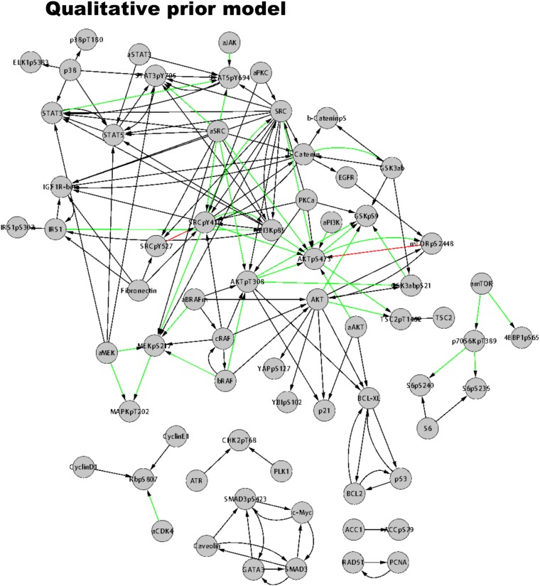 Figure 4—figure supplement 1.