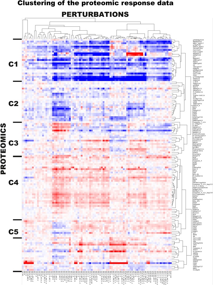 Figure 2—figure supplement 1.