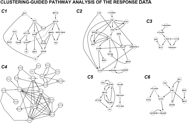 Figure 2—figure supplement 2.