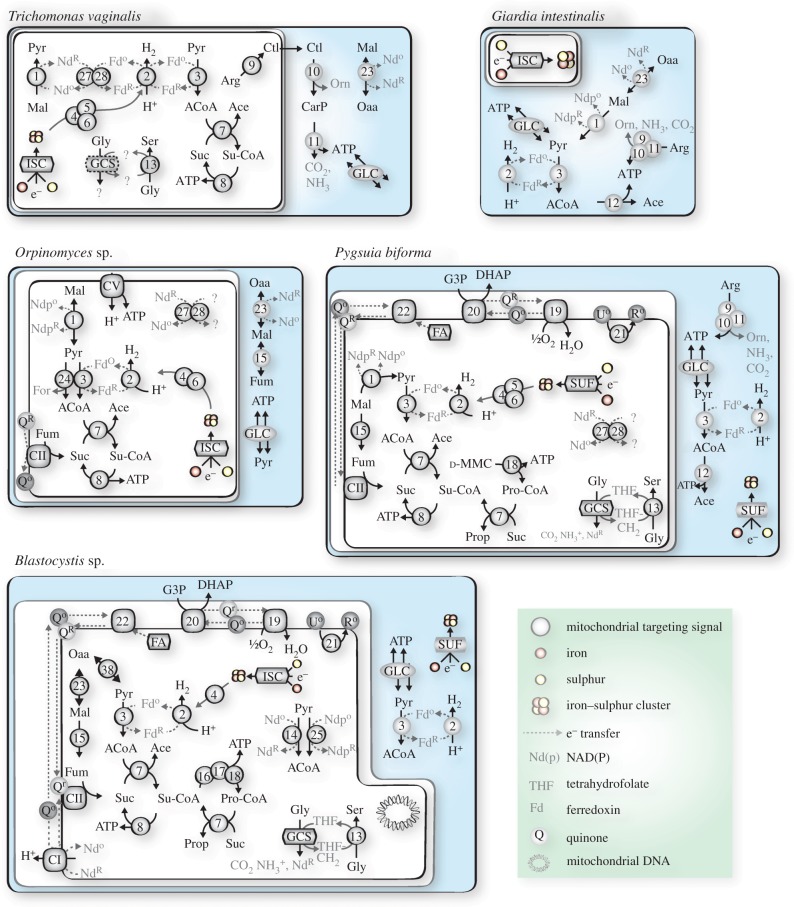 Figure 2.