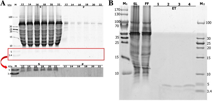 Fig. 3