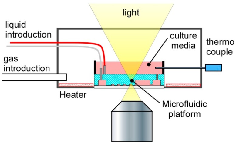 Figure 12