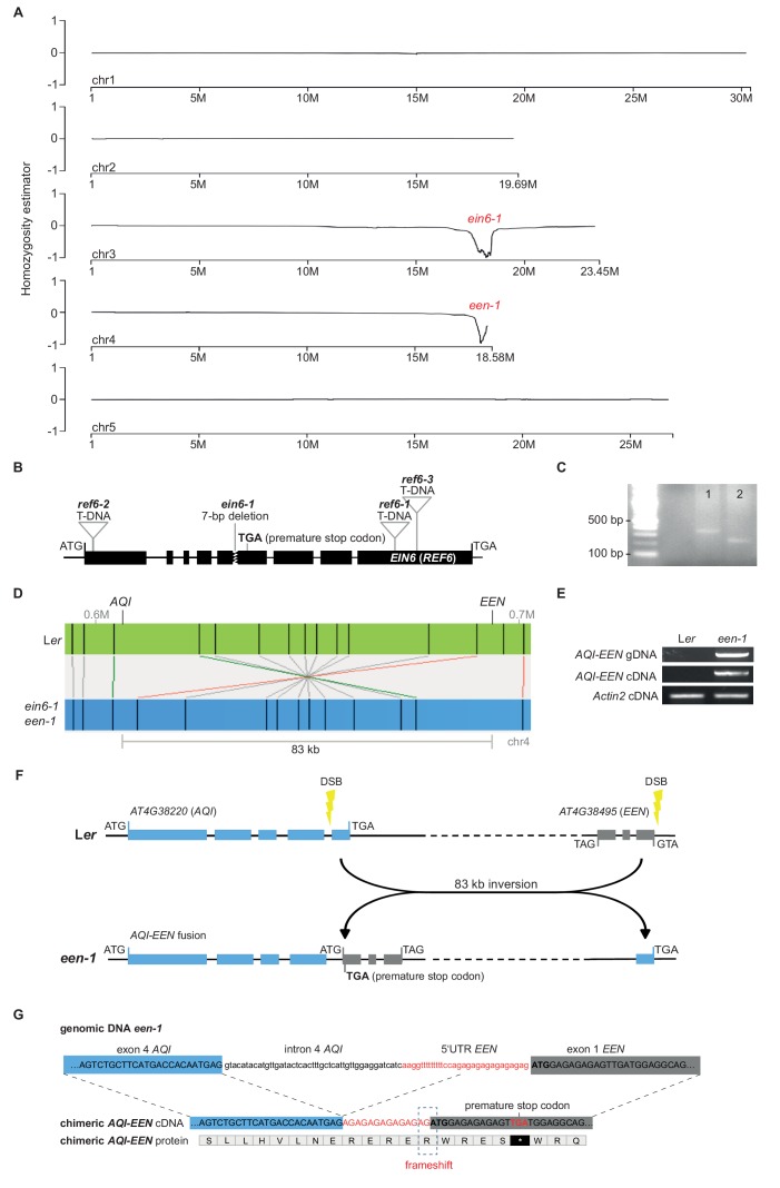 Figure 1—figure supplement 1.