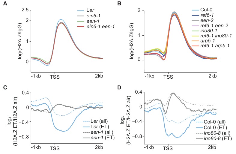 Figure 4.