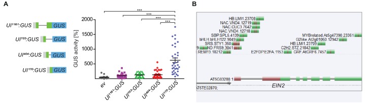 Figure 5—figure supplement 1.