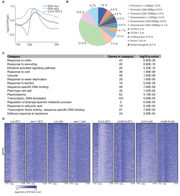 Figure 4—figure supplement 1.