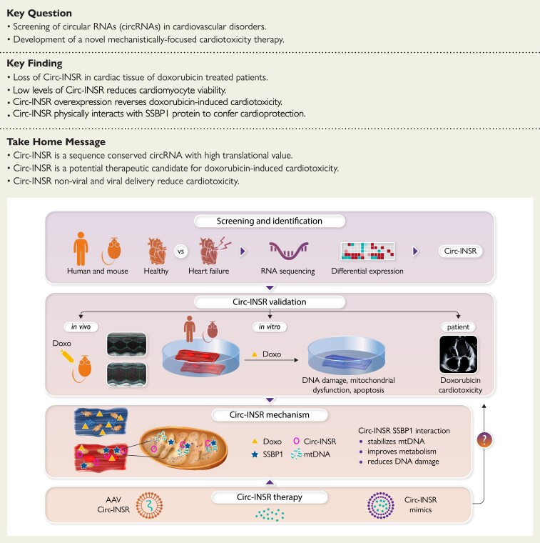 Structured Graphical Abstract