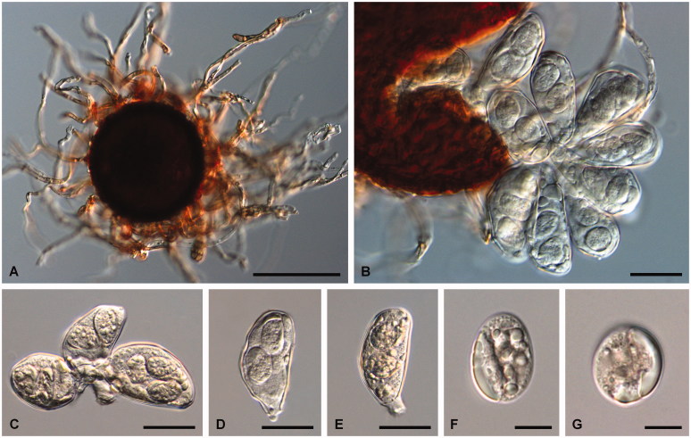 Figure 3.