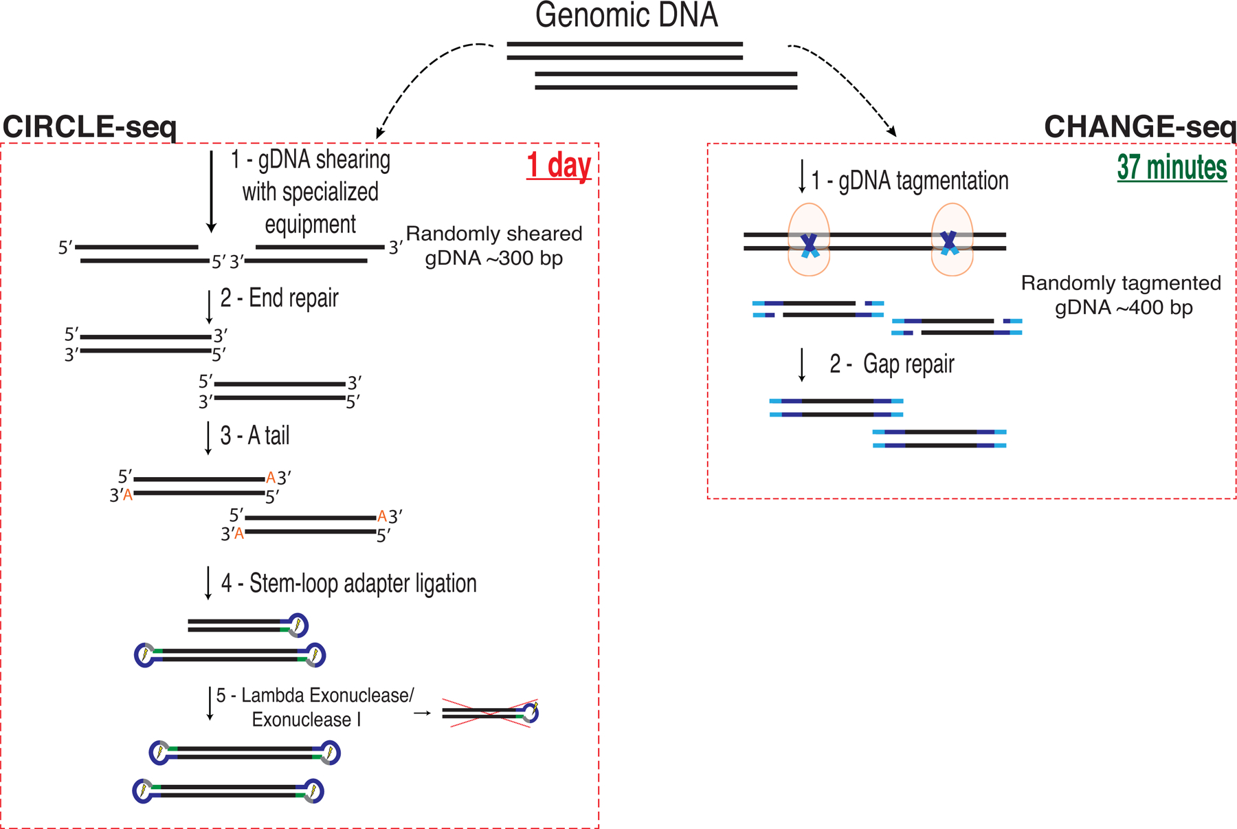 Extended Data Fig. 2