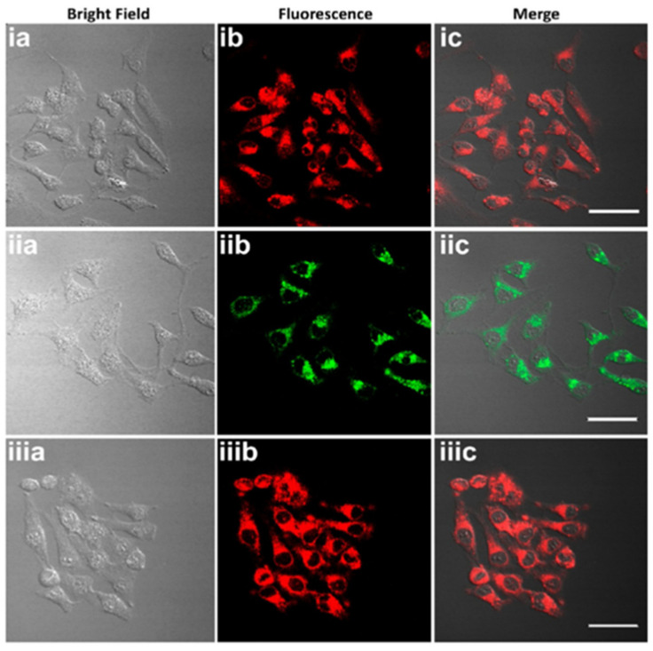 Figure 20