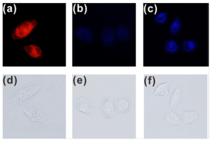 Figure 13