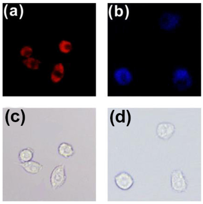 Figure 14