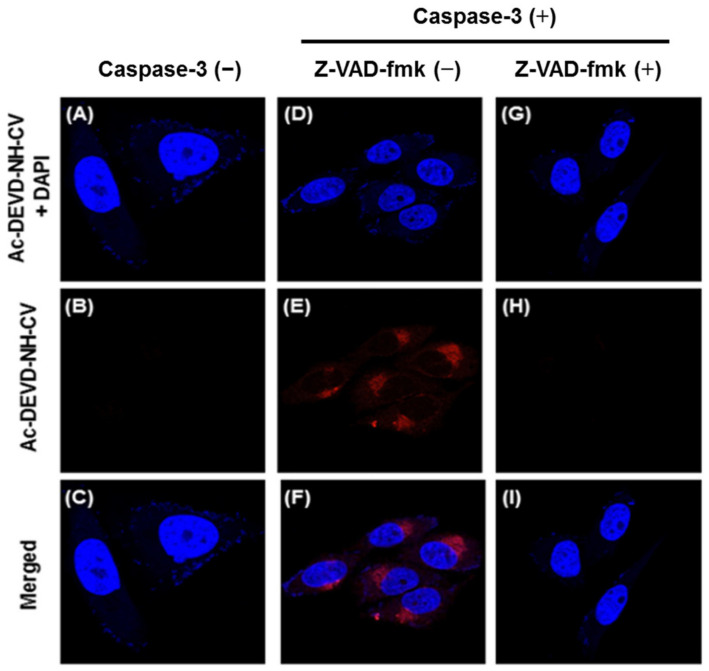 Figure 35