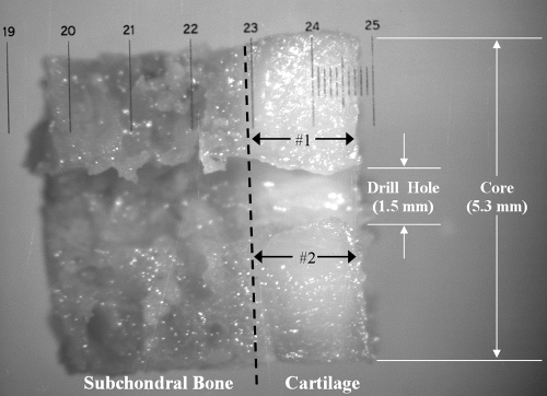 Figure 2: